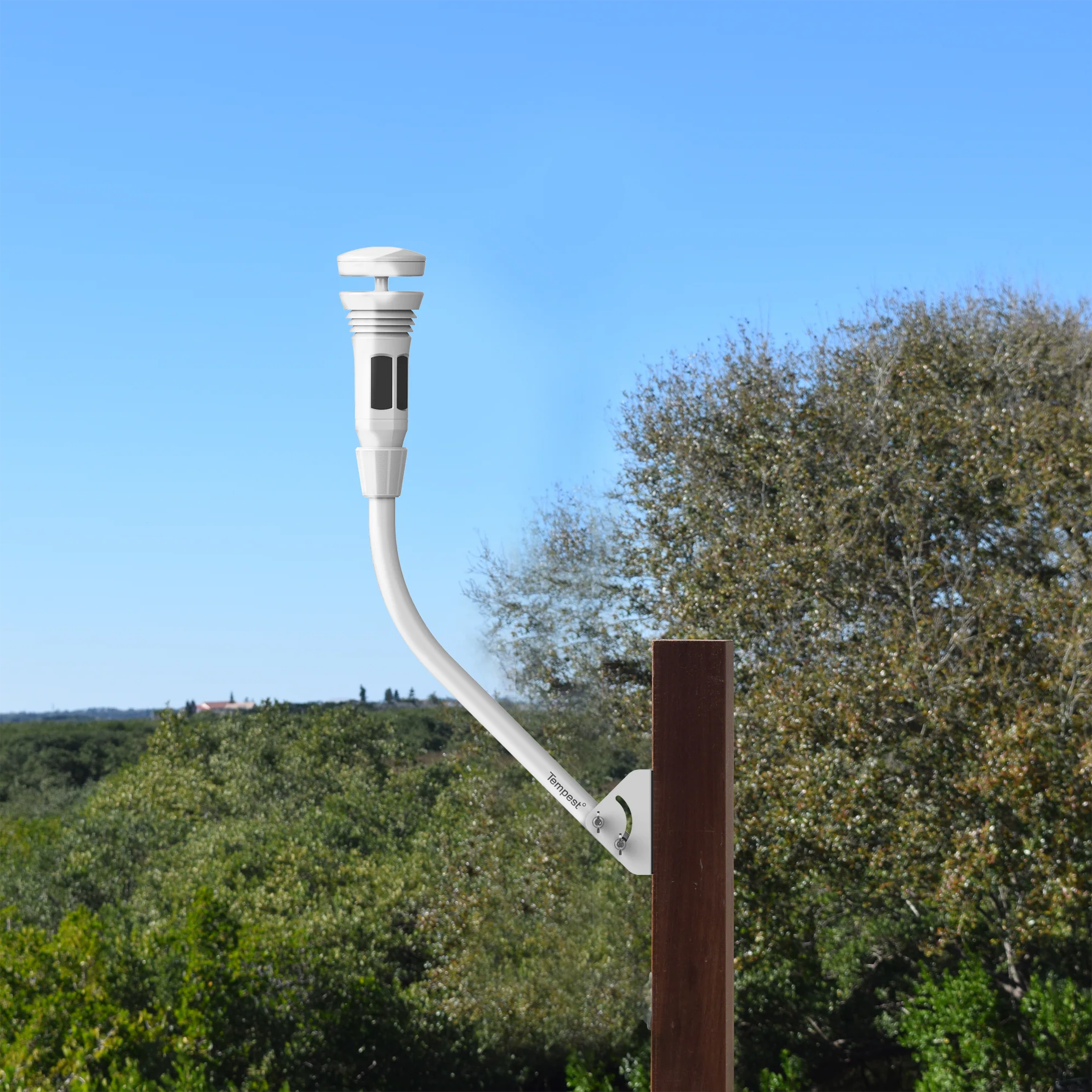 international accessoires